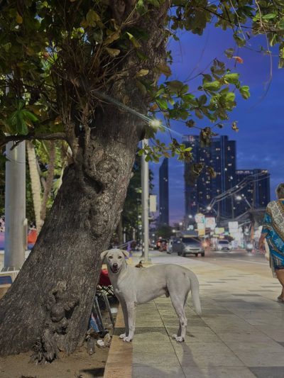 ชายหาดจอมเทียน Jomtien Beach Pataya в июле — фото погоды (2026-07-06)