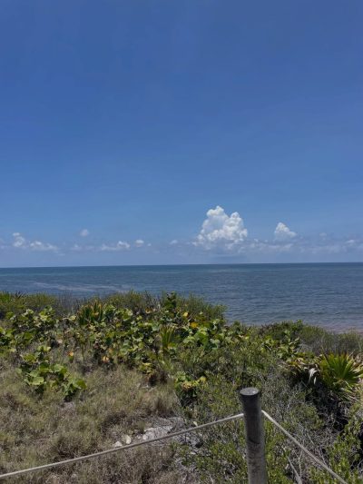 Tulum Ruinas Mayas в июле — фото погоды (2026-07-03)