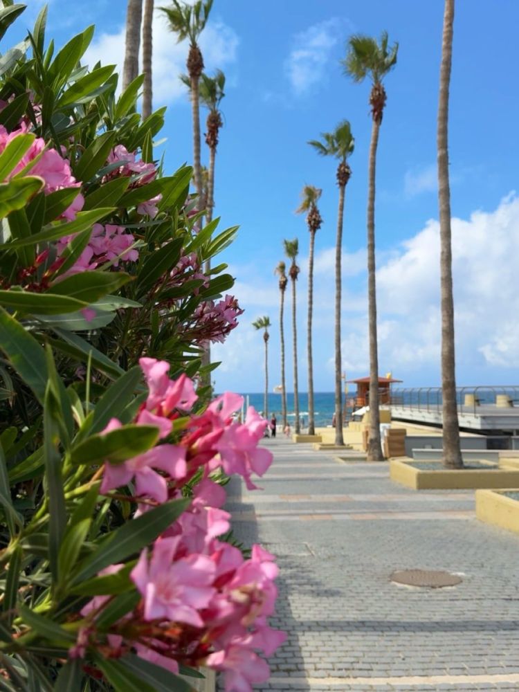 Погода в Paphos, Cyprus