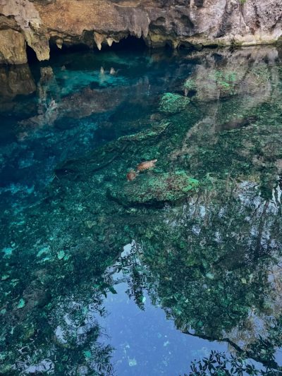 Grand Cenote в январе — фото погоды (2026-01-31)