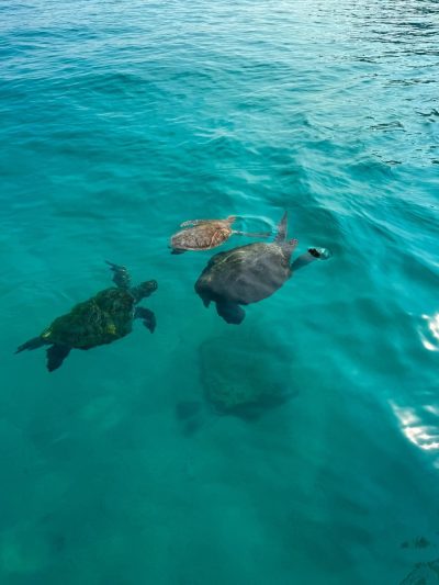 Sipadan Island, Borneo, Malaysia в сентябре — фото погоды (2025-09-05)