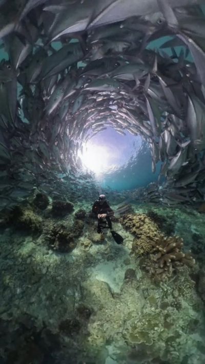 Sipadan Island, Borneo, Malaysia в сентябре — фото погоды (2025-09-09)