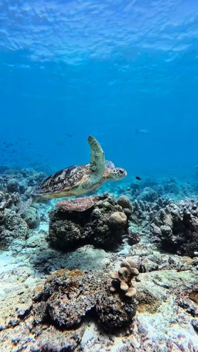Sipadan Island, Borneo, Malaysia в декабре — фото погоды (2025-12-10)
