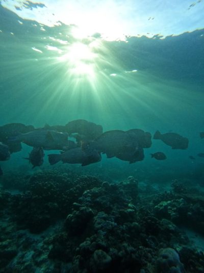 Sipadan Island, Borneo, Malaysia в январе — фото погоды (2026-01-07)