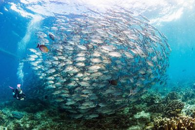Sipadan Island, Borneo, Malaysia в июне — фото погоды (2026-06-04)