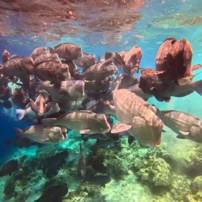 Sipadan Island, Borneo, Malaysia в июле — фото погоды (2026-07-01)