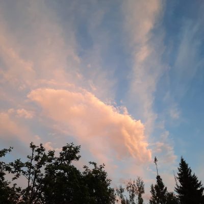 снт сигма в июне — фото погоды (2021-06-29)