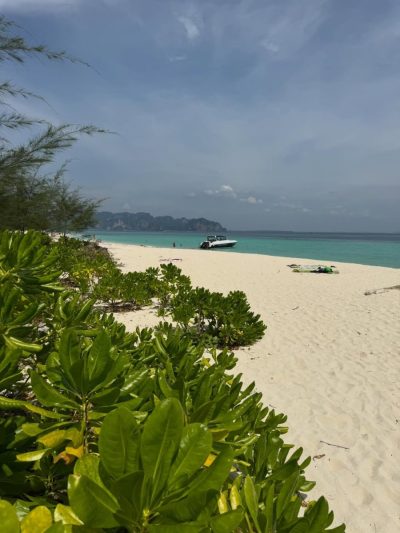 Tup Island Natural Beach, Thailand в январе — фото погоды (2026-01-22)