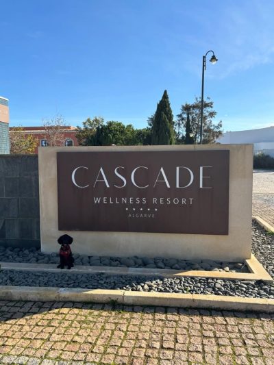 Cascade Wellness Resort by Domes, Lagos, Algarve — фото погоды в январе (2026-01-02)