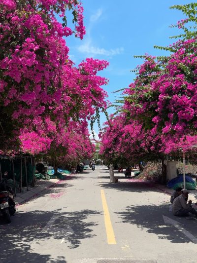 An Vien Village - Nha Trang в мае — фото погоды (2026-05-08)