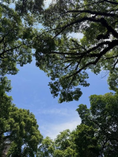 Shamian Island 沙面岛 в июне — фото погоды (2026-06-10)