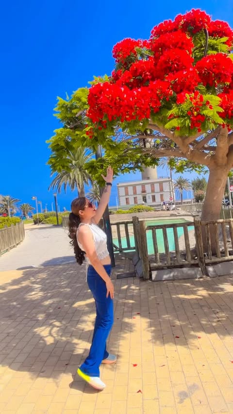 Погода в Playa de Maspalomas, Gran Canaria