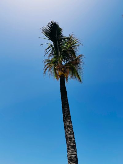 Playa de Maspalomas, Gran Canaria — фото погоды в июне (2026-06-19)