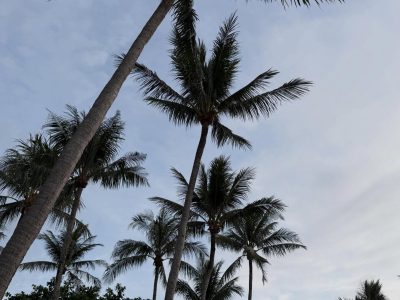 Shangri-La Tanjung Aru, Kota Kinabalu в июле — фото погоды (2026-07-01)