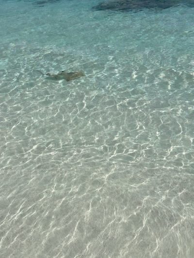 Diamonds Thudufushi Beach and Water Villas в ноябре — фото погоды (2025-11-17)