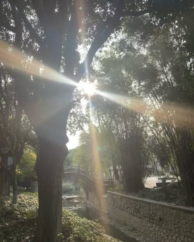 南溪山公园 Mount Nanxi Park в марте — фото погоды (2025-03-24)
