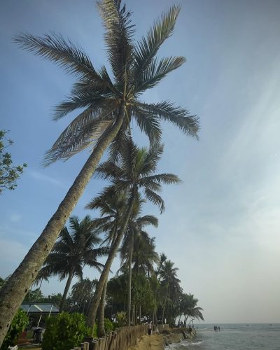 Cinnamon Bay, Beruwala в феврале — фото погоды (2026-02-09)
