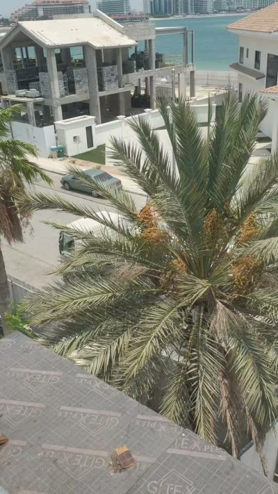 Palm Jumeirah в июле — фото погоды (2026-07-10)