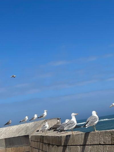 Essaouira port, Morocco в августе — фото погоды (2025-08-05)