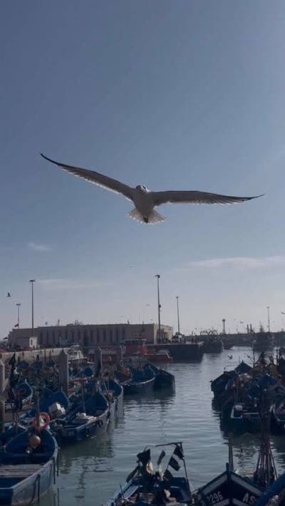 Essaouira port, Morocco в октябре — фото погоды (2025-10-18)