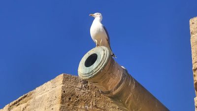 Essaouira port, Morocco в декабре — фото погоды (2025-12-23)