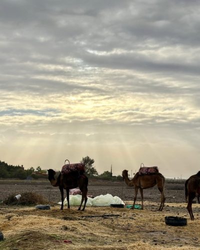 Imlil, The Atlas Mountains, Morocco в июле — фото погоды (2026-07-16)