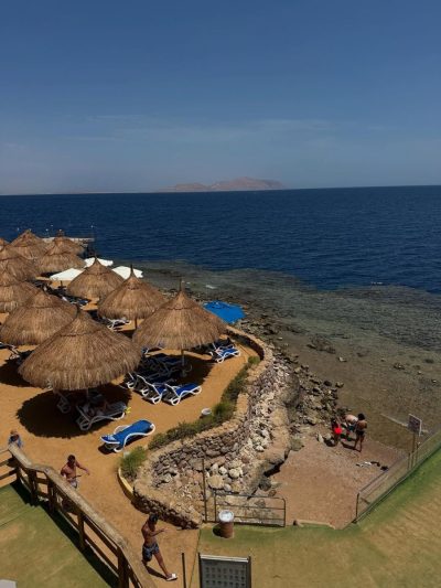 Pickalbatros Hotel в августе — фото погоды (2025-08-26)