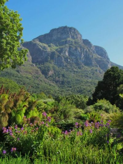 Kirstenbosch Gardens в июле — фото погоды (2025-07-16)
