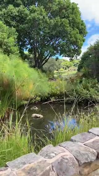 Kirstenbosch Gardens в феврале — фото погоды (2026-02-19)