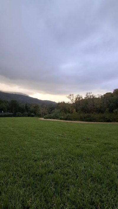 Kirstenbosch Gardens в июле — фото погоды (2026-07-09)