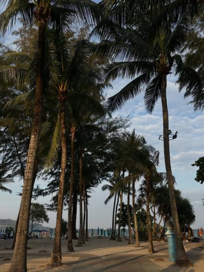 Patong Beach , Kathu , Phuket в феврале — фото погоды (2026-02-15)