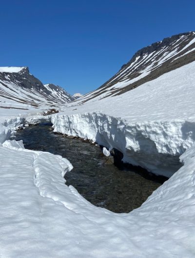 Горы Хибины в мае — фото погоды (2026-05-24)