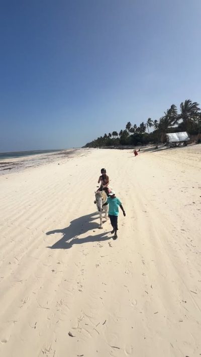 Neptune Pwani Beach Resort - Zanzibar (Tanzania) — фото погоды в январе (2026-01-06)