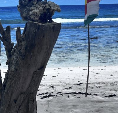 Anse Cocos - La Digue Seychelles в ноябре — фото погоды (2025-11-24)