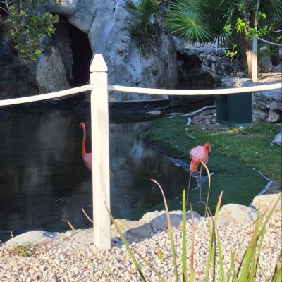 Grand Palladium Riviera Maya Resort & Spa — фото погоды в мае (2026-05-25)
