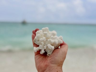 Hulhumale' Beach в мае — фото погоды (2026-05-18)