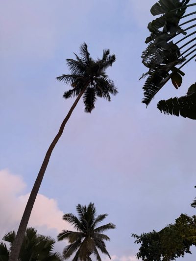 Avani+ Barbarons Seychelles в июле — фото погоды (2026-07-13)