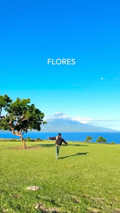 Flores Island в июне — фото погоды (2026-06-08)