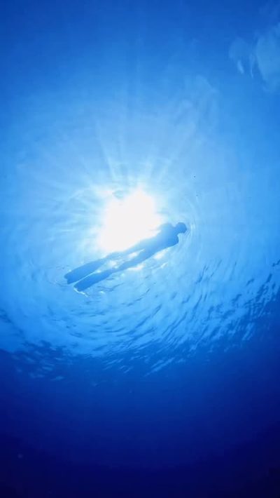In The Sea ~ Maldives в августе — фото погоды (2025-08-19)