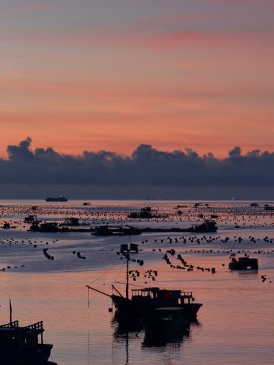 Du Lịch Sinh Thái Sao Biển - Cam Ranh в марте — фото погоды (2026-03-03)