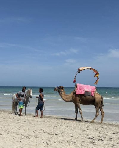 Ulysse Djerba Thalasso & SPA — фото погоды в сентябре (2025-09-23)
