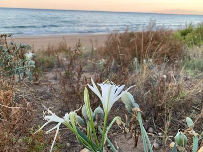 beach Salou в сентябре — фото погоды (2025-09-10)
