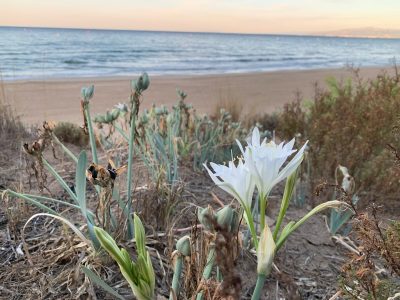 beach Salou в сентябре — фото погоды (2025-09-10)