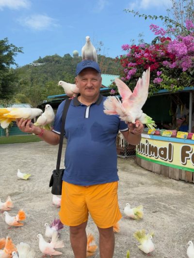 Paradise Park Farm, Koh Samui в январе — фото погоды (2026-01-26)