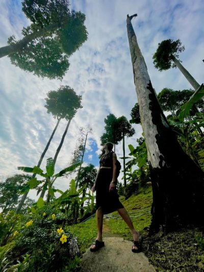 Paradise Park Farm, Koh Samui в апреле — фото погоды (2026-04-28)