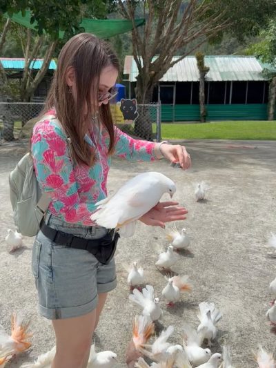 Paradise Park Farm, Koh Samui в мае — фото погоды (2026-05-30)