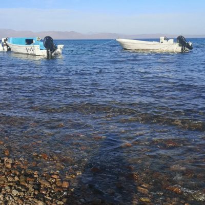 Tropitel Dahab Oasis Hotel — фото погоды в апреле (2026-04-15)