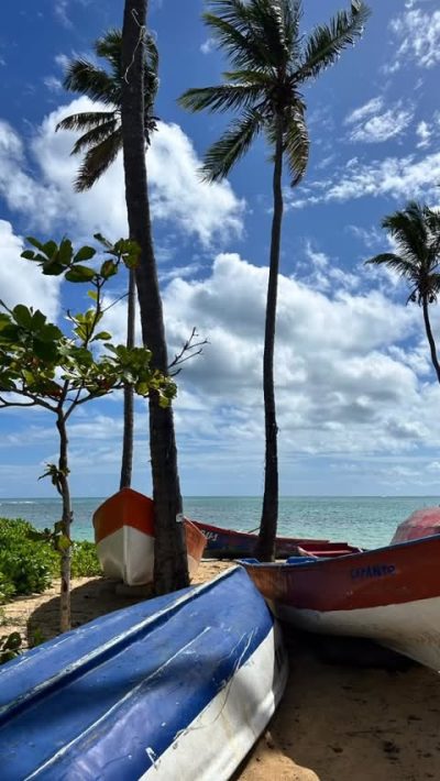 Playa Las Ballenas Las Terrenas в апреле — фото погоды (2026-04-16)