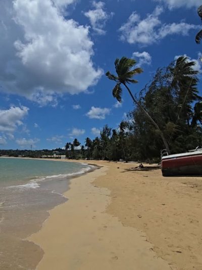 Playa Las Ballenas Las Terrenas в мае — фото погоды (2026-05-26)
