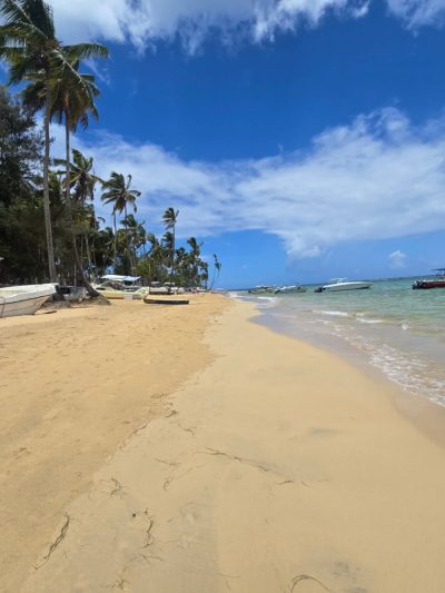 Playa Las Ballenas Las Terrenas в мае — фото погоды (2026-05-26)